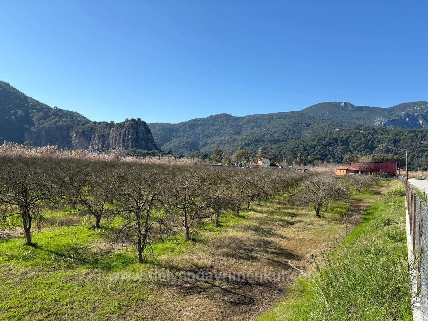 5985M2 Plot Of Land For Sale In Dalyan, Zoned For 5% Vineyard/Orchard Use.