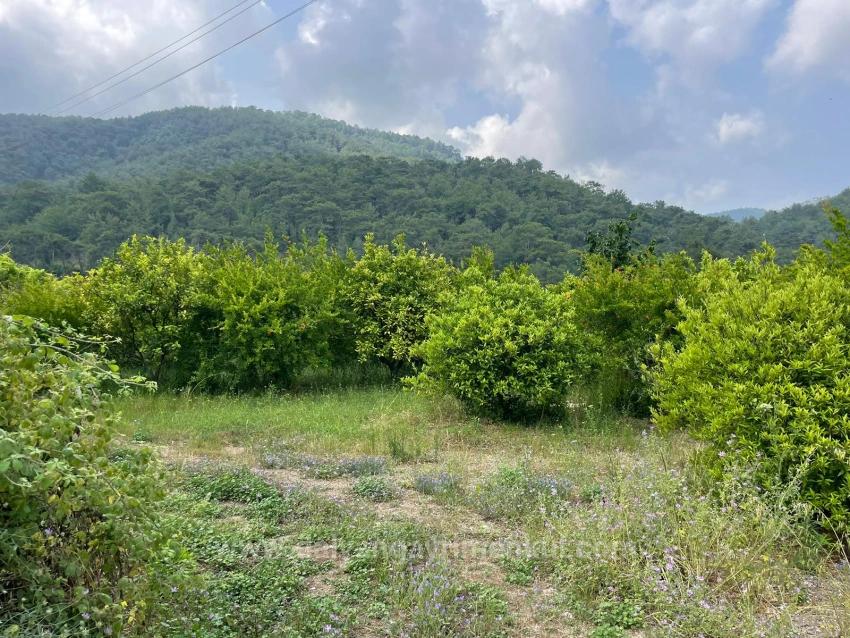 7800M2 Land For Sale In Gökbel, Next To Iztuzu Beach Road