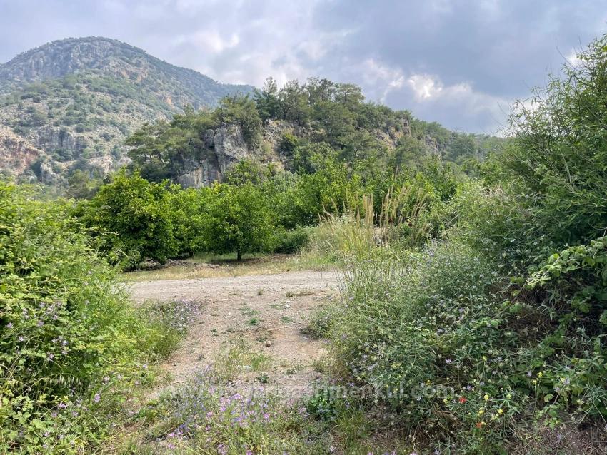 7800M2 Land For Sale In Gökbel, Next To Iztuzu Beach Road