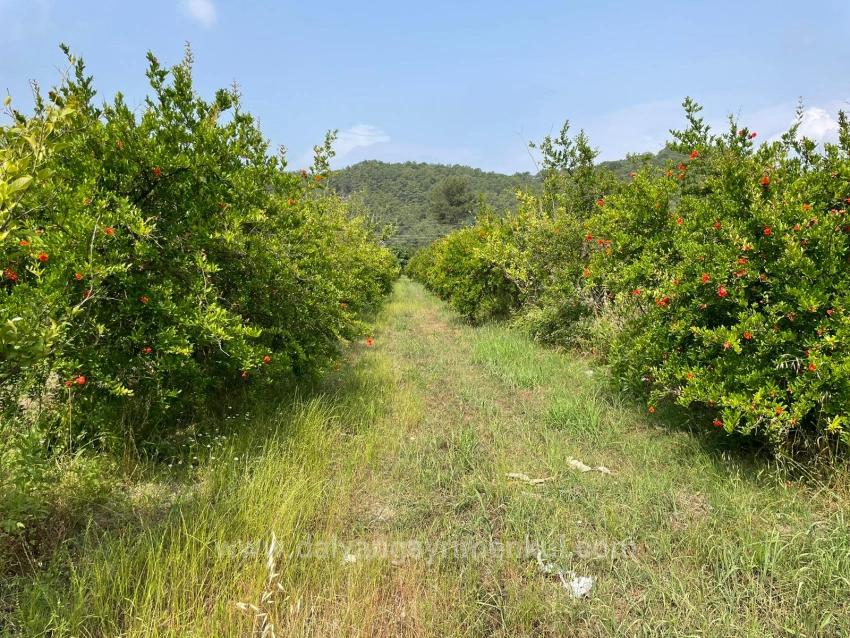 7800M2 Land For Sale In Gökbel, Next To Iztuzu Beach Road