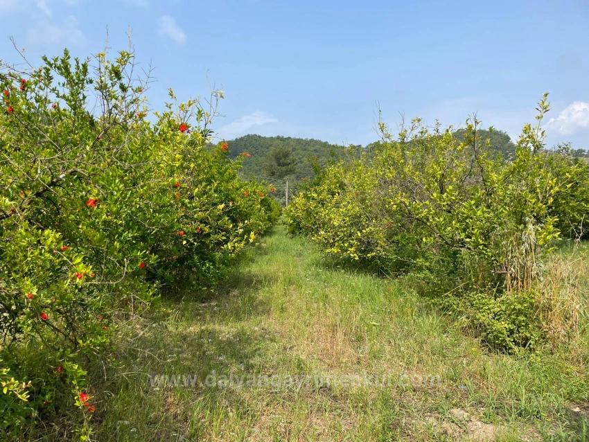 7800M2 Land For Sale In Gökbel, Next To Iztuzu Beach Road