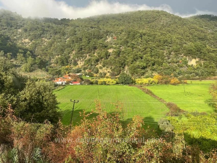 35,000 M² Farm Land For Sale In Çandır, Köyceğiz.