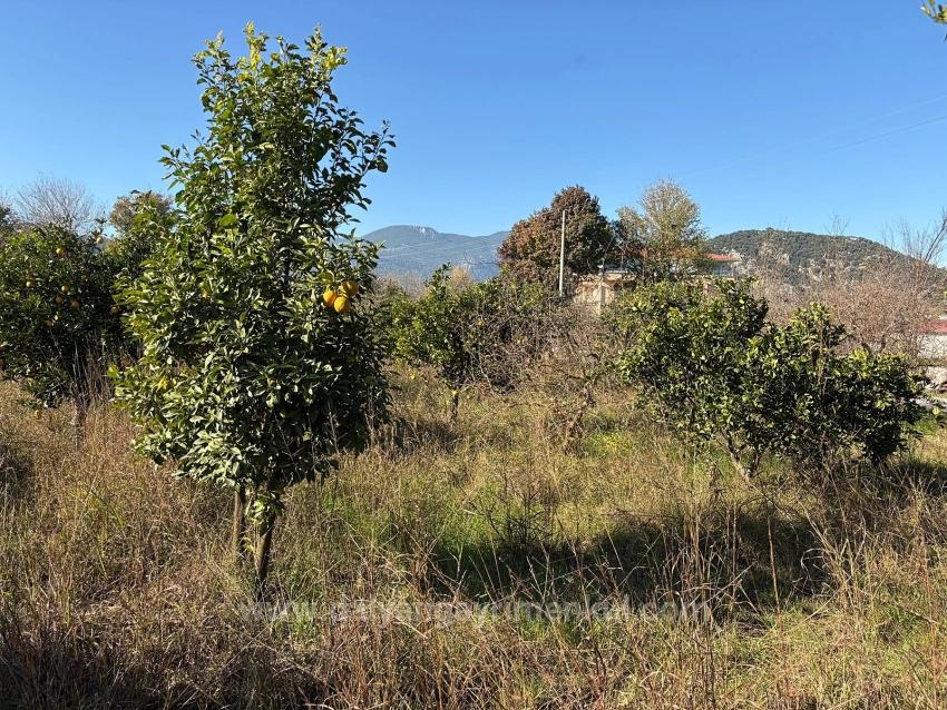 4,541 M² Garden For Sale In Dalyan.