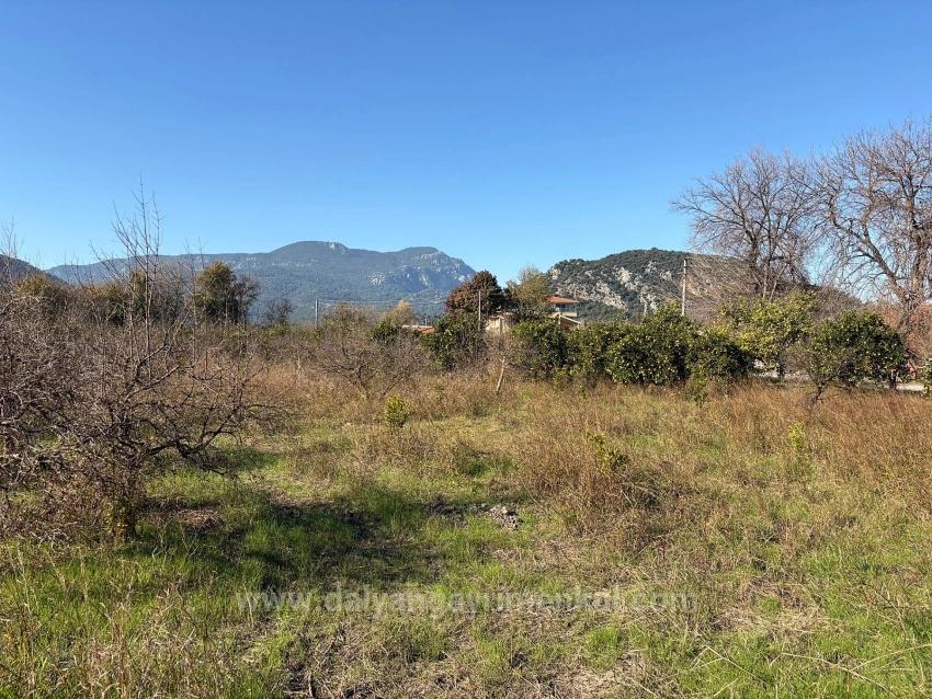 4,541 M² Garden For Sale In Dalyan.
