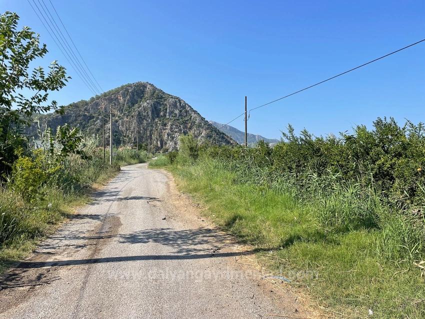 10,000 M² Pomegranate Orchard For Sale In Dalyan Arıkbaşı Gerendüzü Area.
