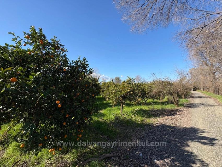 4,326 M² Plot Of Land For Sale In The Residential Area Of Okçular.