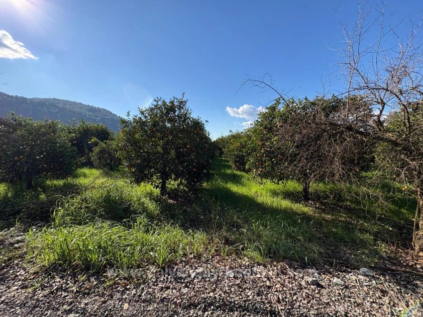 4,326 M² Plot Of Land For Sale In The Residential Area Of Okçular.