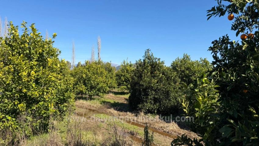 2.218M2 Land For Sale In Okçular Marmarlı