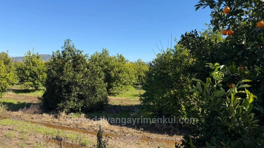 2.218M2 Land For Sale In Okçular Marmarlı