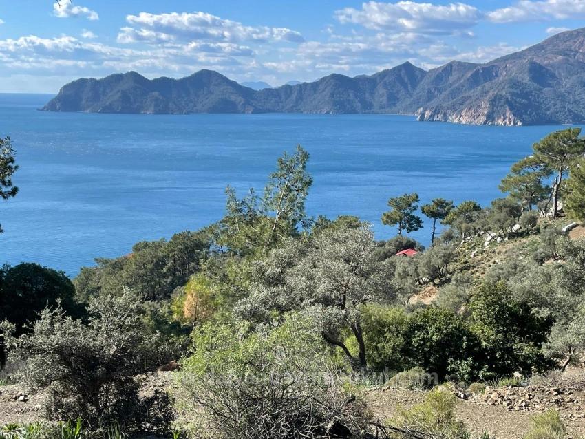 Çandır 20.000M2 2B For Sale With Full Sea View