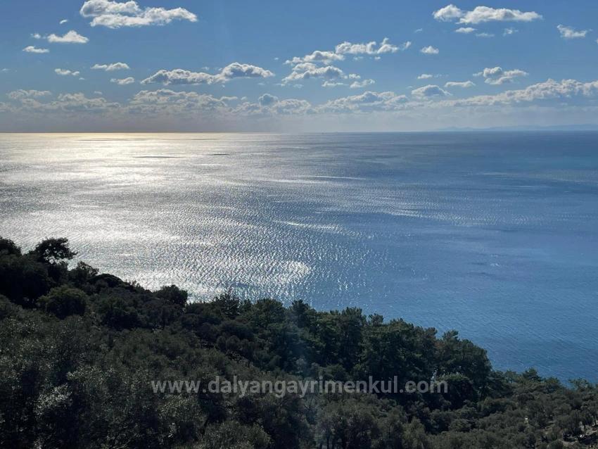 Çandır 20.000M2 2B For Sale With Full Sea View