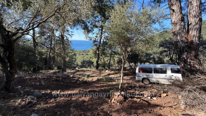 2B Field Of 5715M2 For Sale With Full Sea View In Çandır