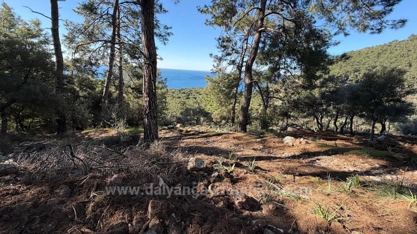 2B Field Of 5715M2 For Sale With Full Sea View In Çandır