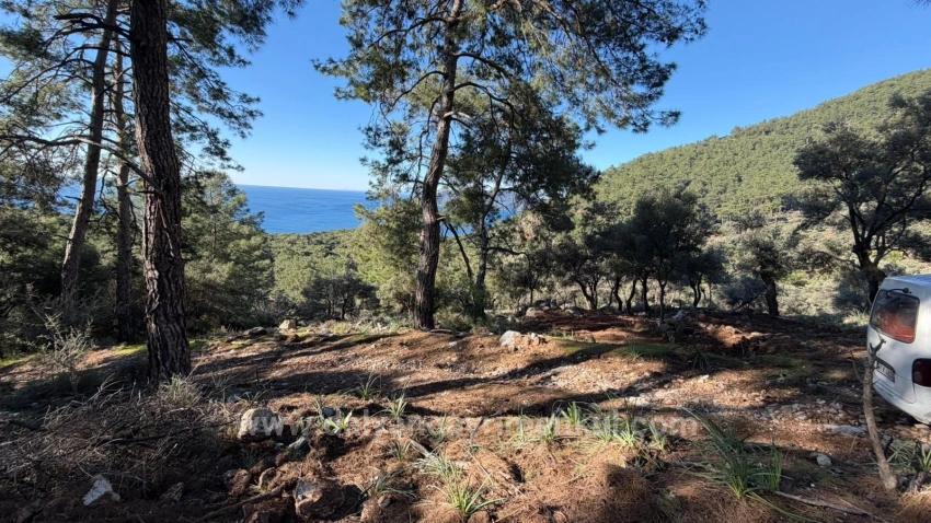 2B Field Of 5715M2 For Sale With Full Sea View In Çandır