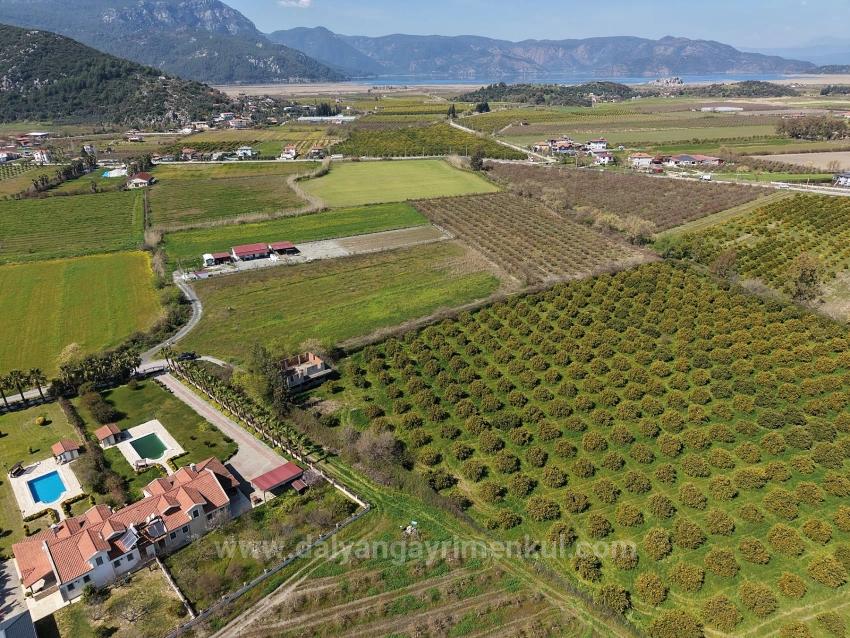 17.550M2 Vineyard-Bahce For Sale Close To Dalyan Center