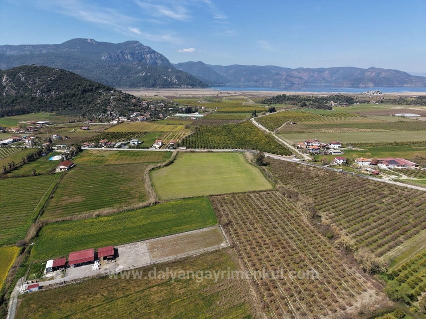 17.550M2 Vineyard-Bahce For Sale Close To Dalyan Center