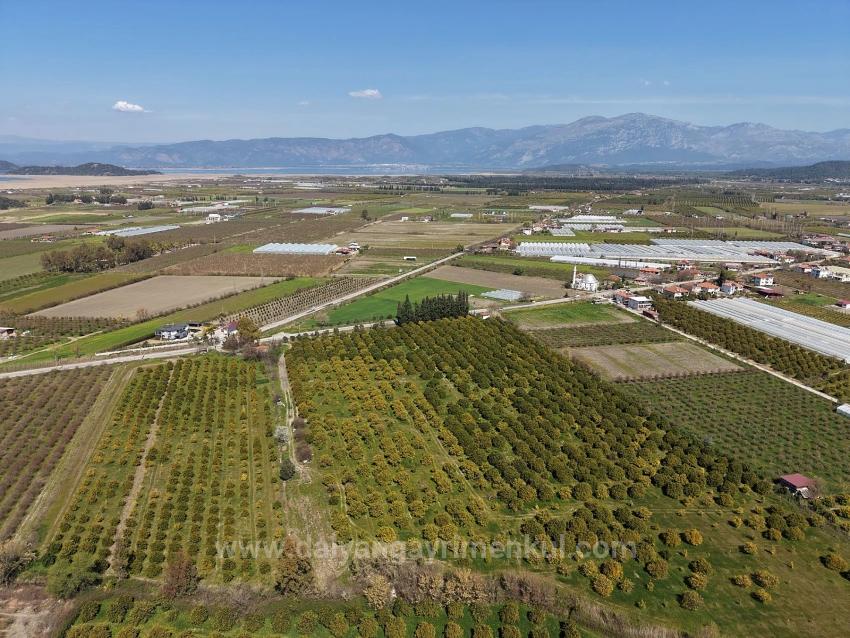 17.550M2 Vineyard-Bahce For Sale Close To Dalyan Center