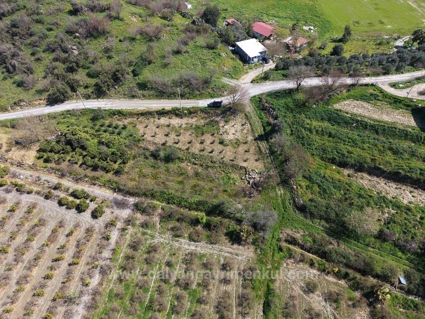 16.710M2 Pomegranate Garden For Sale With Lake View In Eskiköy