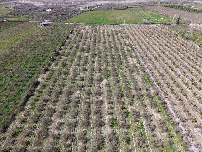 16.710M2 Pomegranate Garden For Sale With Lake View In Eskiköy