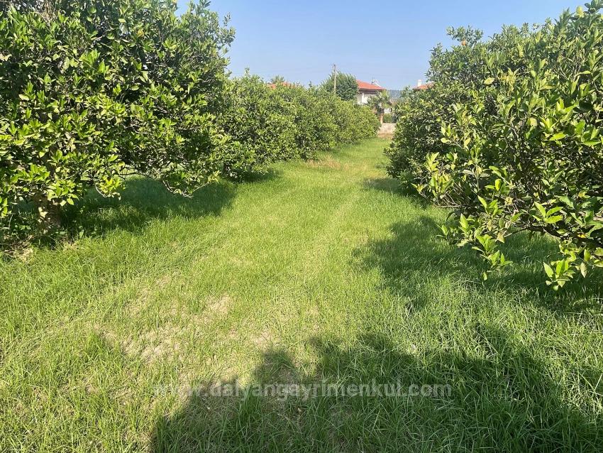 722M2 Land For Sale In Dalyan Gülpınar
