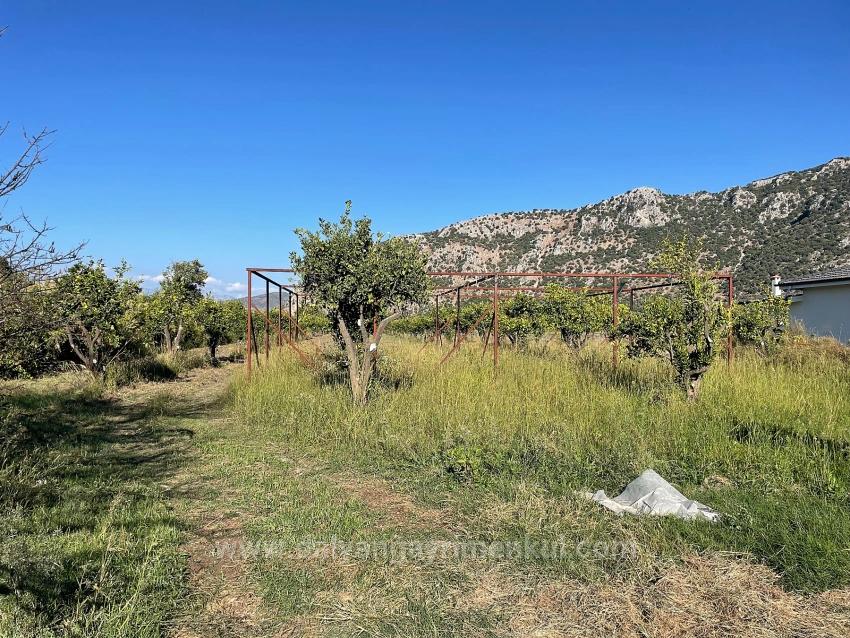 6600M2 Plot Of Land For Sale Near The Center Of Dalyan.