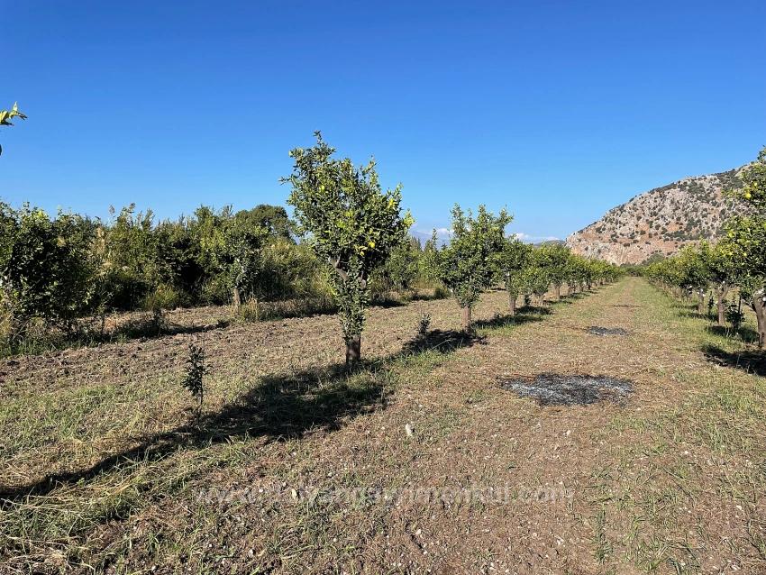 6600M2 Plot Of Land For Sale Near The Center Of Dalyan.