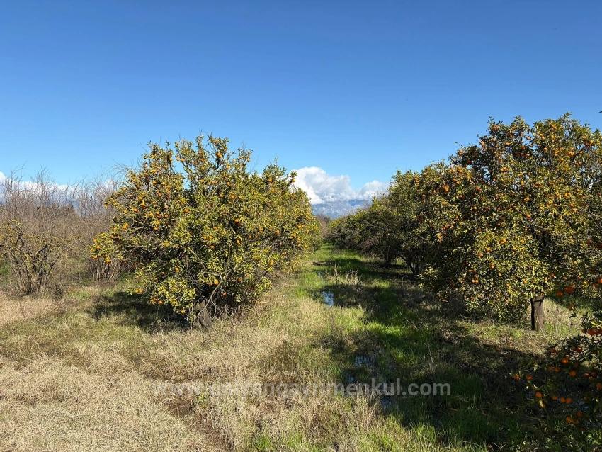 23,000 M² Detached Land For Sale In Tepearası.