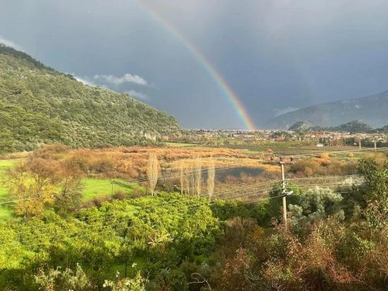 35,000 M² Farm Land For Sale In Çandır, Köyceğiz.