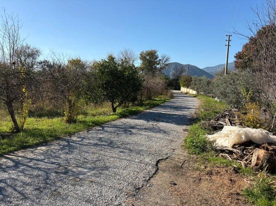 4,541 M² Garden For Sale In Dalyan.