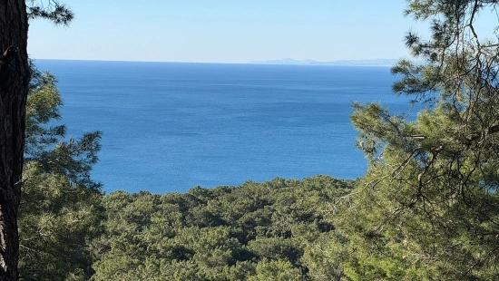 2B Field Of 5715M2 For Sale With Full Sea View In Çandır