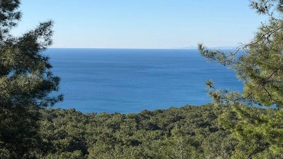 2B Field Of 5715M2 For Sale With Full Sea View In Çandır