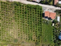 Land For Sale in Okçular Nbh. Ortaca - Housing Zoned - 1.050 m²