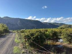 Land For Sale in Yeşilyurt Nbh. Ortaca - Housing Zoned - 3.999 m²