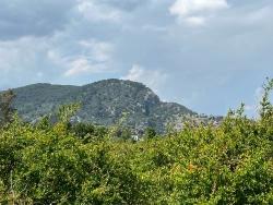 5,100 M² Plot Of Land For Sale In Dalyan, Maraş Area, Zoned For 5% Residential Use.