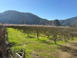 Land For Sale in Dalyan Nbh. Ortaca - Housing Zoned - 5.985 m²