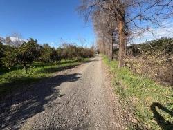 4,326 M² Plot Of Land For Sale In The Residential Area Of Okçular.