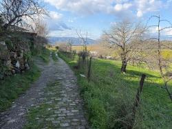 11,230 M² Plot Of Land For Sale In Dalyan With Lake View.