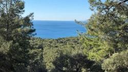 Field For Sale in Çandır Nbh. Köyceğiz - Housing Zoned - 5.715 m²