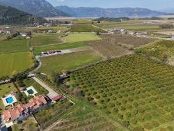 Vineyards & Orchards For Sale in Dalyan Nbh. Ortaca - Vineyards & Orchards Zoned - 17.550 m²