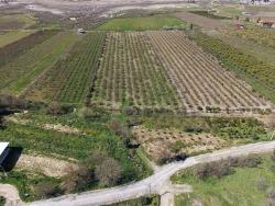 16.710M2 Pomegranate Garden For Sale With Lake View In Eskiköy