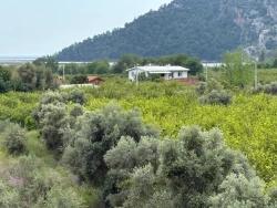 Field For Sale in Çandır Nbh. Köyceğiz - Field Zoned - 1.721 m²
