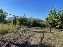 Field For Sale in Dalyan Nbh. Ortaca - Field Zoned - 6.600 m²