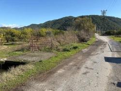 Field For Sale in Tepearası Nbh. Ortaca - Vineyards & Orchards Zoned - 23.000 m²
