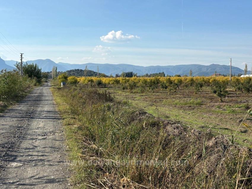 Гранатовый Сад Площадью 21500 М2 На Продажу В Эскикёе