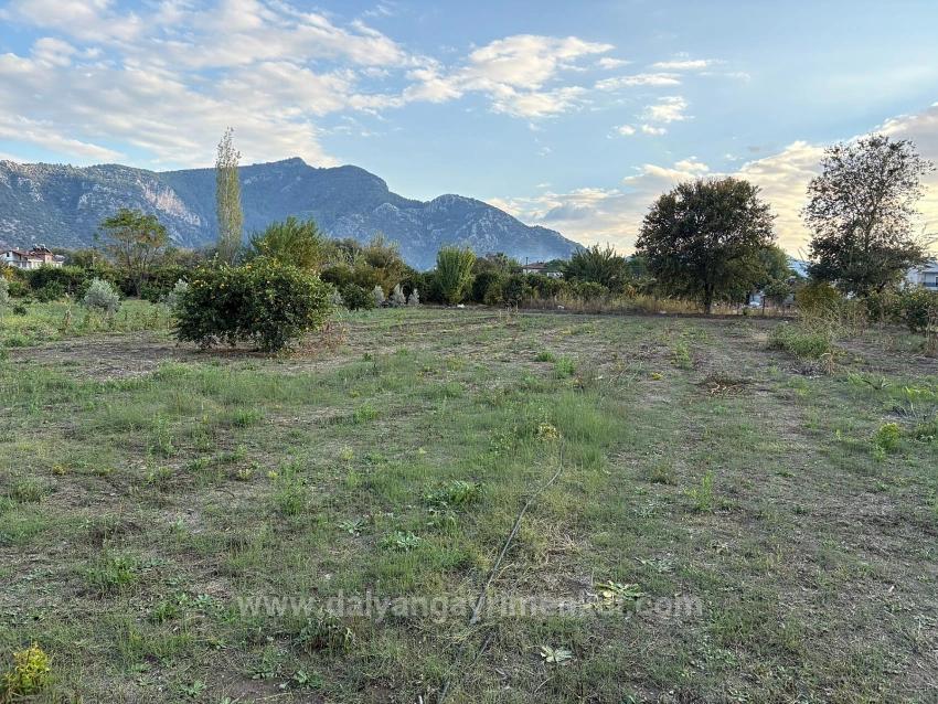 В Дальяне Продается Земельный Участок Площадью 7450 М² С Зонированием 5%.