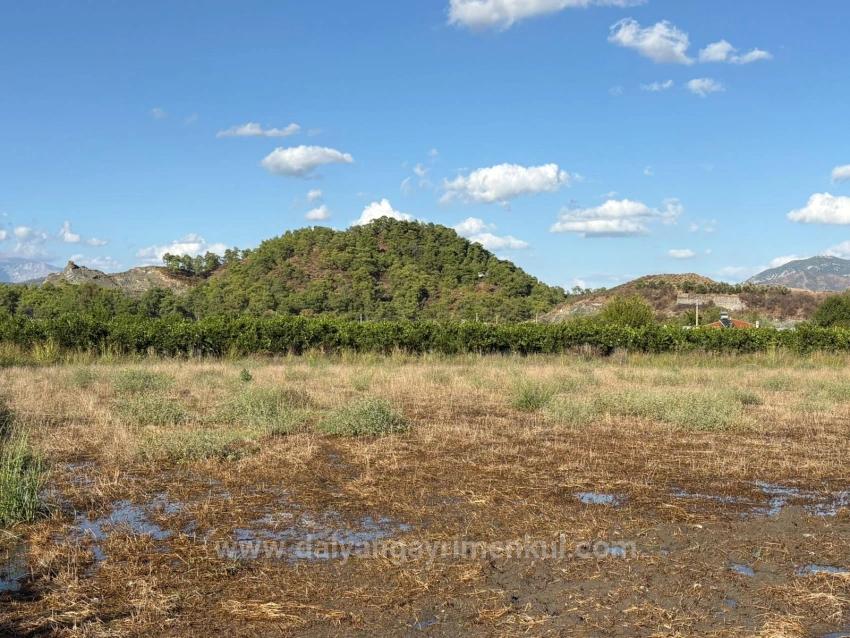 Продается Земельный Участок Площадью 3900 М2 С Разрешением На Строительство В Ортаджа Ешилюрт