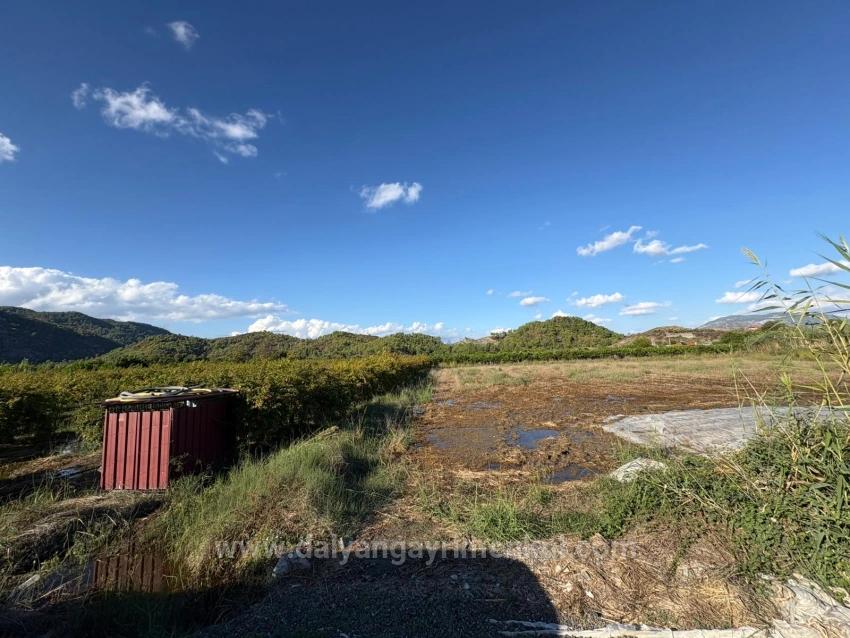 Продается Земельный Участок Площадью 3900 М2 С Разрешением На Строительство В Ортаджа Ешилюрт