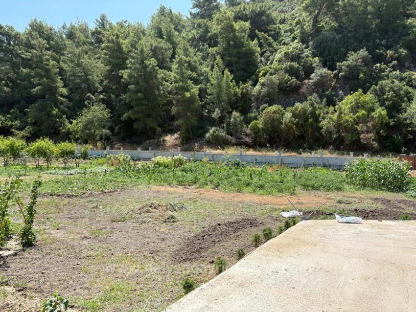 Отдельно Стоящий Деревянный Дом Площадью 120 М² На Участке Площадью 2500 М² В Районе Дальян Карадаг.