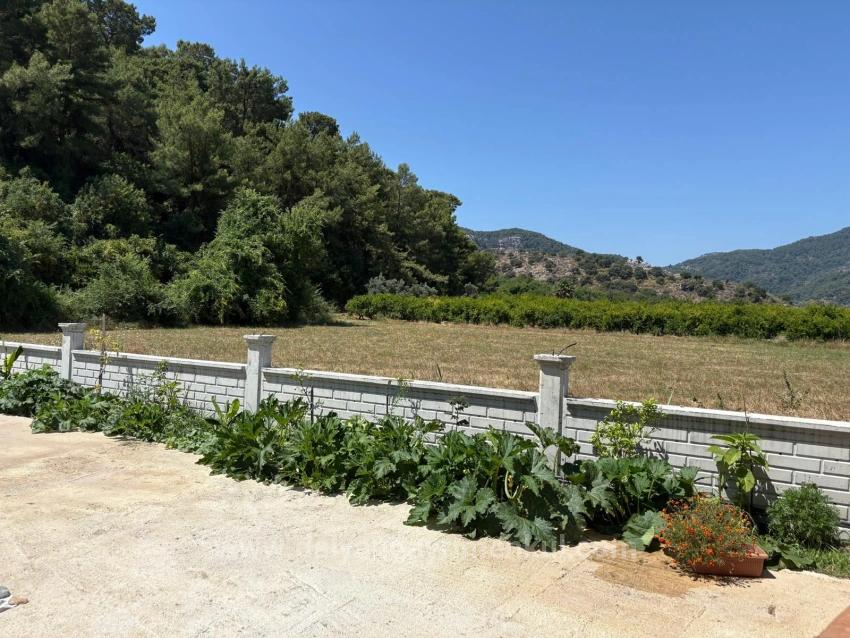 Отдельно Стоящий Деревянный Дом Площадью 120 М² На Участке Площадью 2500 М² В Районе Дальян Карадаг.