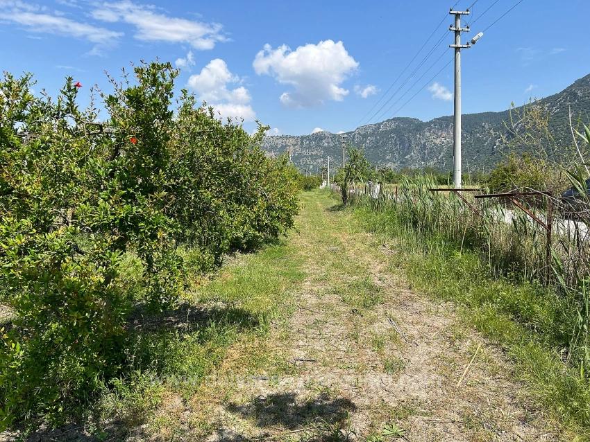 Продается Земельный Участок Площадью 5100 М² В Дальяне, Район Мараш, С Зонированием Под Жилую Застройку На 5%.